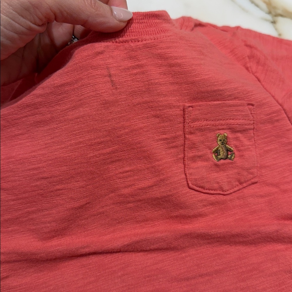 GAP Kids' Short Sleeve Tees - Coral and Beige - Picture 5 of 5